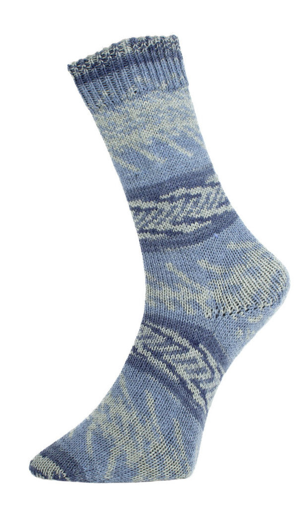 Pro Lana Fjord Socks 0197 (100g)